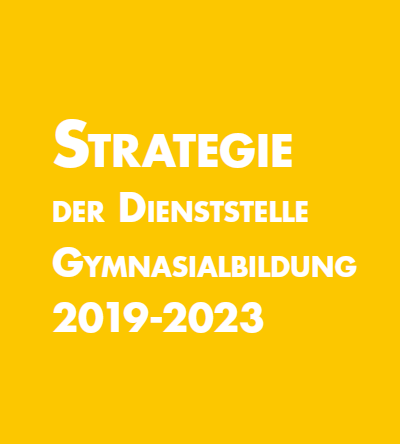 Bildausschnitt Dgym-Strategie